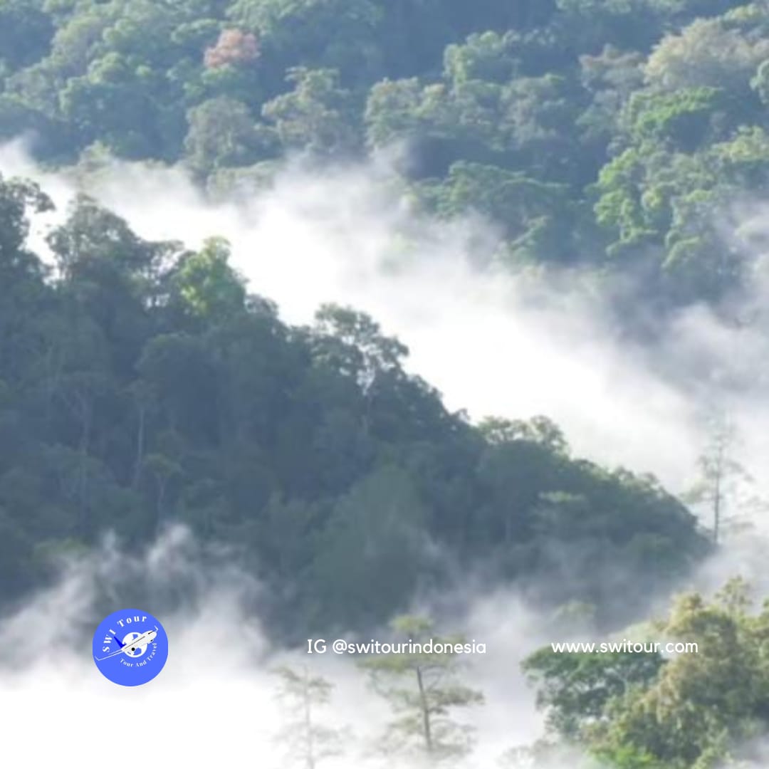 pakej percutian ke bukit lawang
