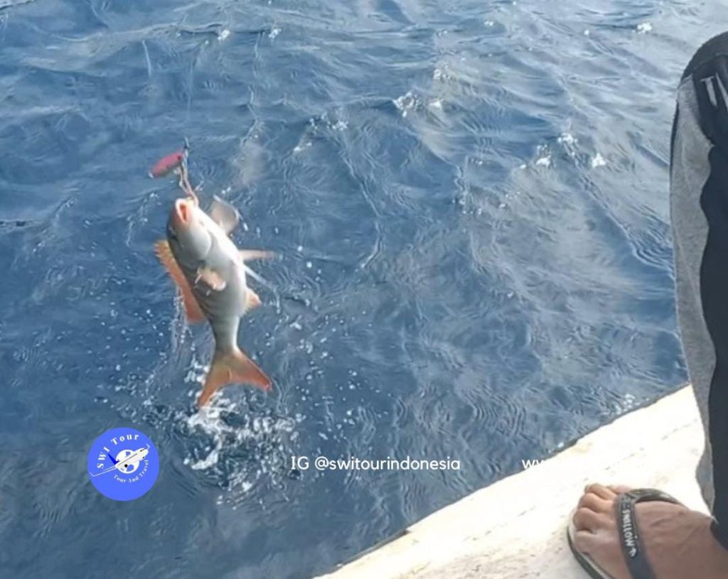 Pakej Memancing Medan