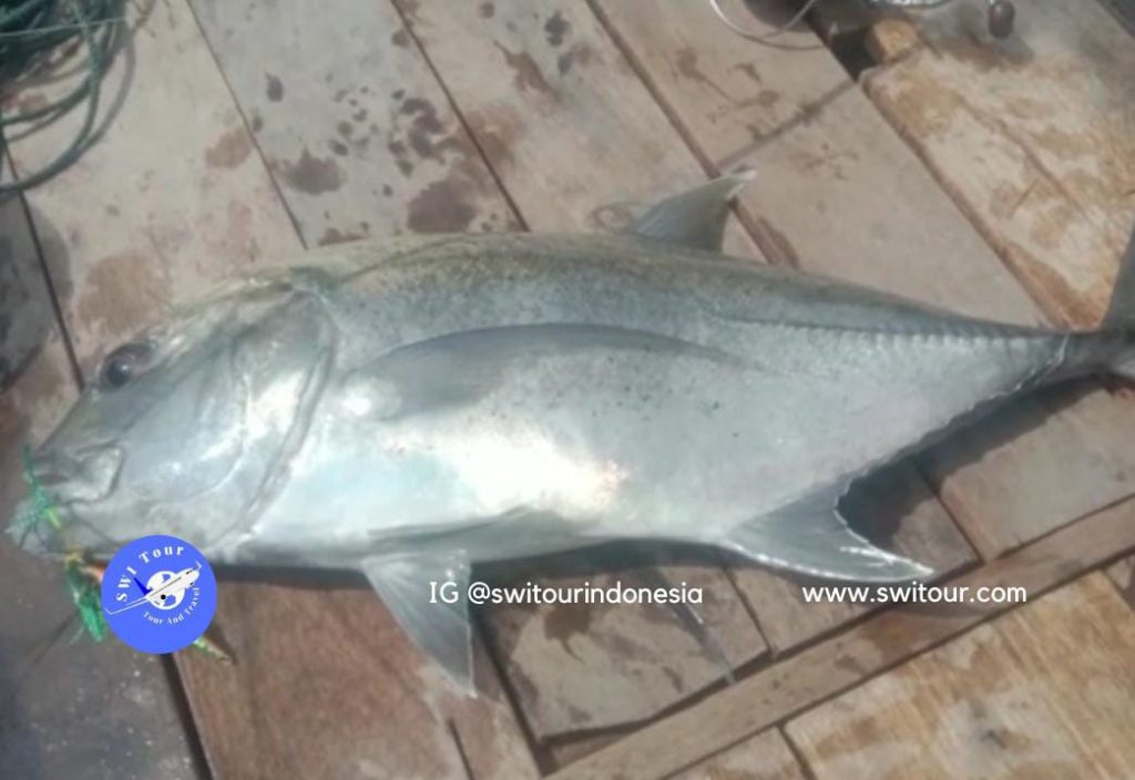 Pakej Memancing Medan