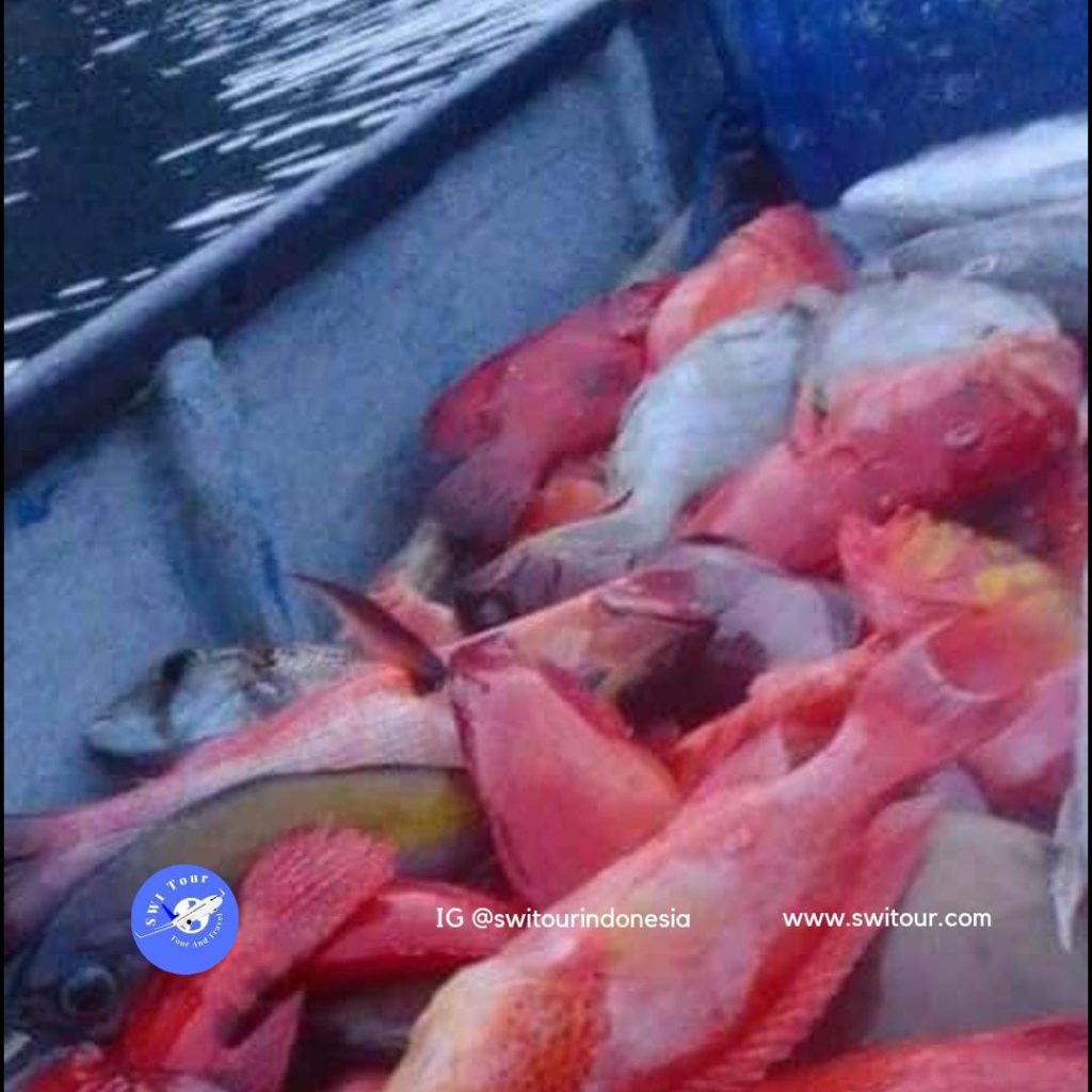 Pakej Memancing Medan