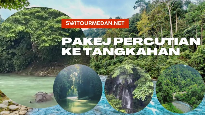 Pakej Percutian ke Tangkahan
