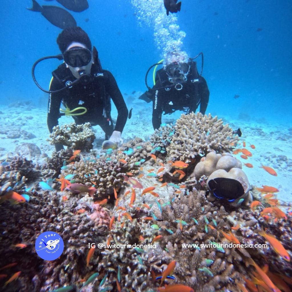 Pulau Weh Tour