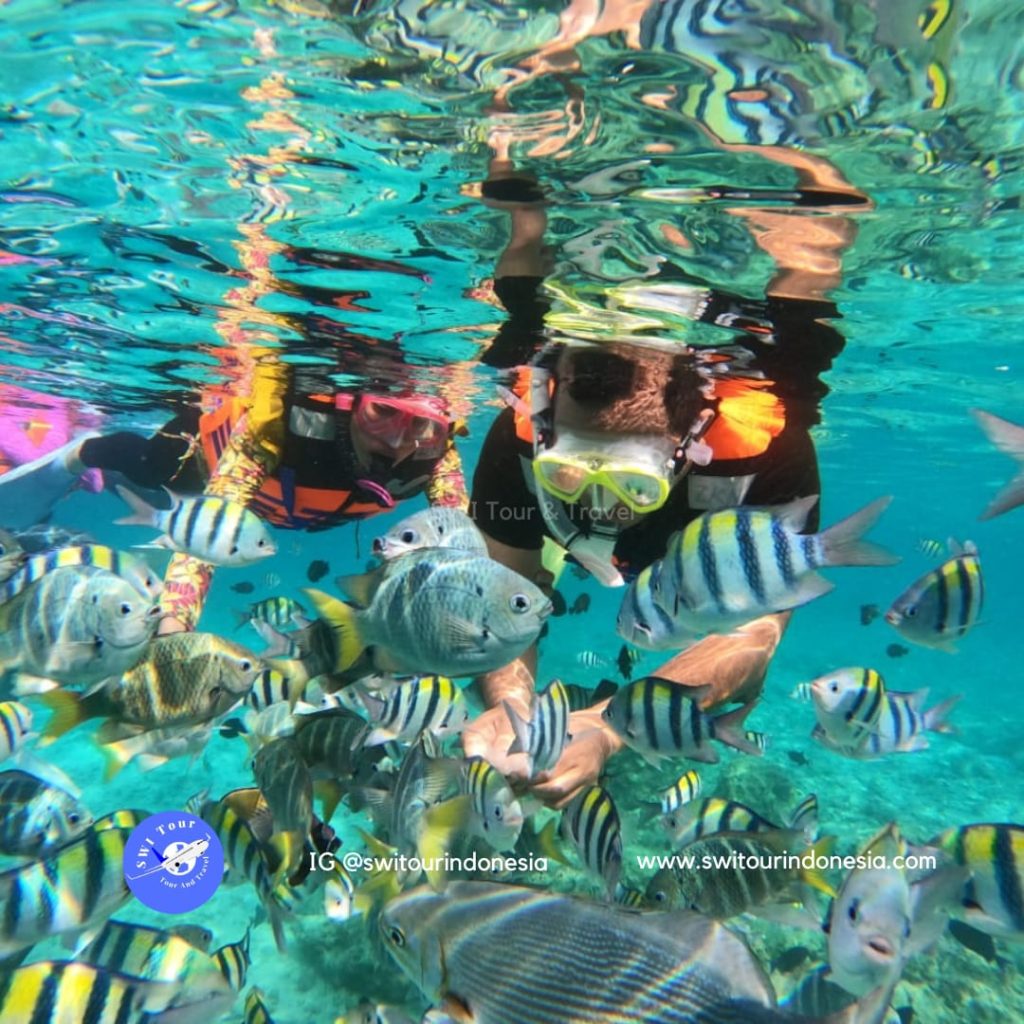 Snorkeling Pulau Weh